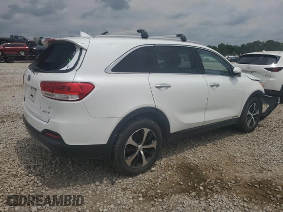 2017 Kia Sorento EX with VIN 5XYPHDA58HG312341, listed as a Copart auction lot 61031505 with 137,158 mi miles and Salvage title. Bid and sale history available at DreamBid. Image 3.