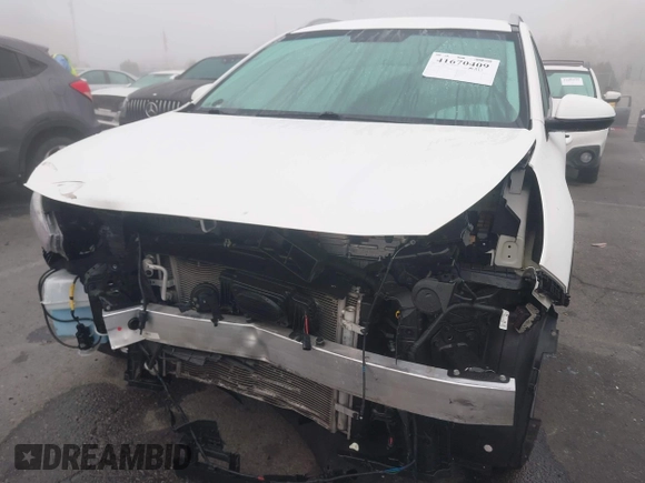 2019 Kia Niro LX with VIN KNDCB3LC3K5317579, listed as a IAAI auction lot 41670409 with 56,143 mi miles. Bid and sale history available at carsss.com. Image 6.