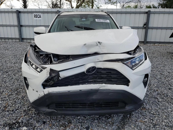 2019 Toyota RAV4 XLE with VIN JTMW1RFV4KD007950, listed as a Copart auction lot 44012885 with 33,600 mi miles and Salvage Title. Bid and sale history available at carsss.com. Image 5.
