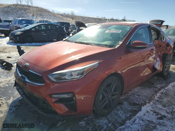 2019 Kia Forte EX with VIN 3KPF54AD0KE087333, listed as a Copart auction lot 45227205 with 59,113 mi miles and Salvage Title. Bid and sale history available at carsss.com. Image 1.