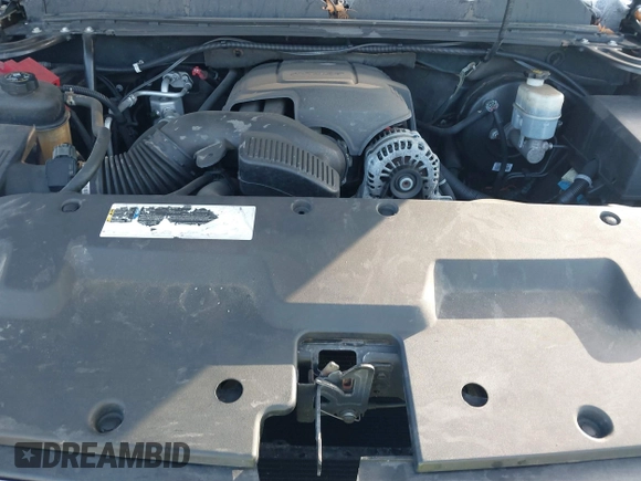 2010 Chevrolet Silverado 1500 LS with VIN 3GCRKREA9AG151200, listed as a IAAI auction lot 41172064 with 113,662 mi miles. Bid and sale history available at carsss.com. Image 10.