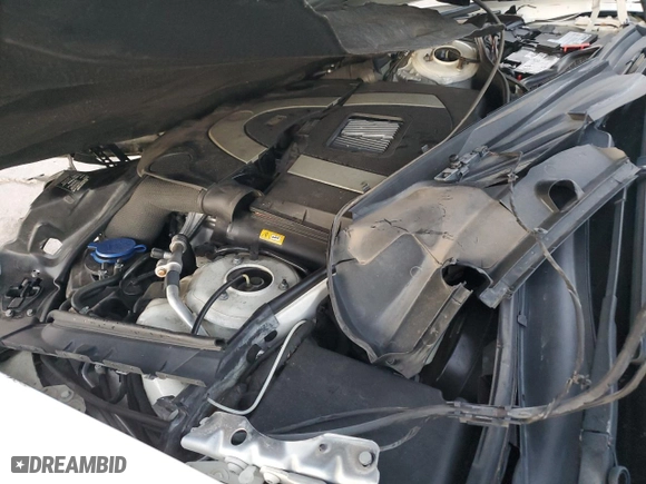 2010 Mercedes-Benz S-Class S 550 with VIN WDDNG7BB7AA340000, listed as a Copart auction lot 42230095 with 0 mi miles and Salvage Title. Bid and sale history available at carsss.com. Image 13.