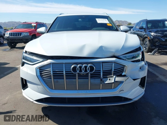 2021 Audi e-tron Premium Plus with VIN WA1LAAGE6MB002079, listed as a IAAI auction lot 42116578 with 48,357 mi miles. Bid and sale history available at carsss.com. Image 12.