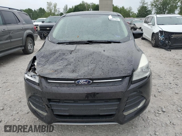 2013 Ford Escape SE with VIN 1FMCU0GX3DUB62509, listed as a Copart auction lot 57595155 with 134,253 mi miles and Clean title. Bid and sale history available at DreamBid. Image 5.