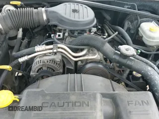 2003 Dodge Dakota with VIN 1D7HL12X73S381323, listed as a IAAI auction lot 42161329 with 219,083 mi miles and . Bid and sale history available at DreamBid. Image 18.