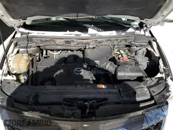2010 Mazda CX-9 Grand Touring with VIN JM3TB3MA2A0216419, listed as a Copart auction lot 45927305 with 182,910 mi miles and Salvage Title. Bid and sale history available at carsss.com. Image 12.