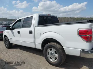 2014 Ford F-150 XL with VIN 1FTFW1CT5EKD39904, listed as a IAAI auction lot 41797099 with 209,343 mi miles. Bid and sale history available at carsss.com. Image 14.