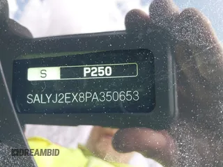 2023 Land Rover Range Rover Velar S с VIN SALYJ2EX8PA350653, выставлен на аукционе IAAI как лот 41981755 с пробегом 23 859 миль миль и . История ставок и продаж доступна на DreamBid. Изображение 9.