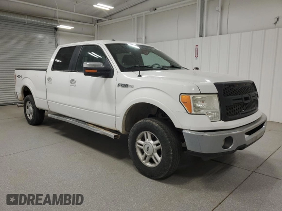 2013 Ford F-150 XL with VIN 1FTFW1EF9DKF66261, listed as a Copart auction lot 49215605 with 114,061 mi miles and Clean Title. Bid and sale history available at carsss.com. Image 1.