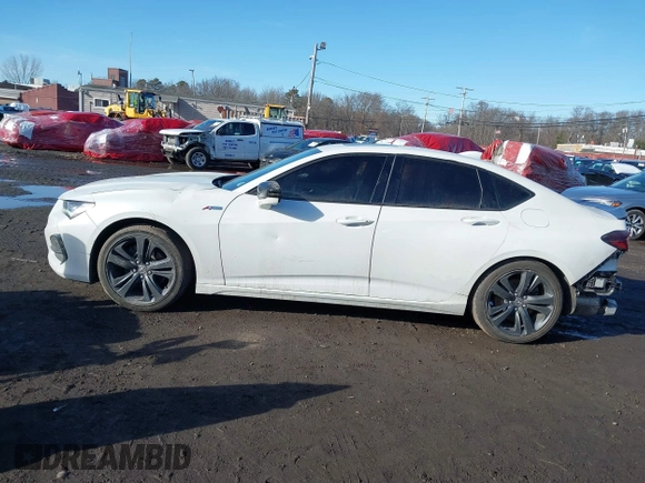 2021 Acura TLX w/A-Spec Package with VIN 19UUB5F59MA013665, listed as a IAAI auction lot 41569907 with 48,429 mi miles. Bid and sale history available at carsss.com. Image 14.