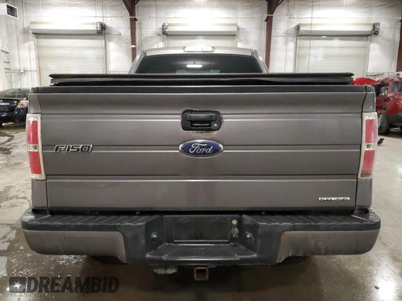2013 Ford F-150 XL with VIN 1FTEX1EM6DFD11213, listed as a Copart auction lot 61350245 with 197,696 mi miles and Salvage title. Bid and sale history available at DreamBid. Image 6.