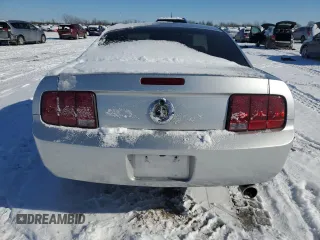 2009 Ford Mustang with VIN 1ZVHT80N595106302, listed as a Copart auction lot 45233005 with 122,399 mi miles and Salvage Title. Bid and sale history available at carsss.com. Image 6.
