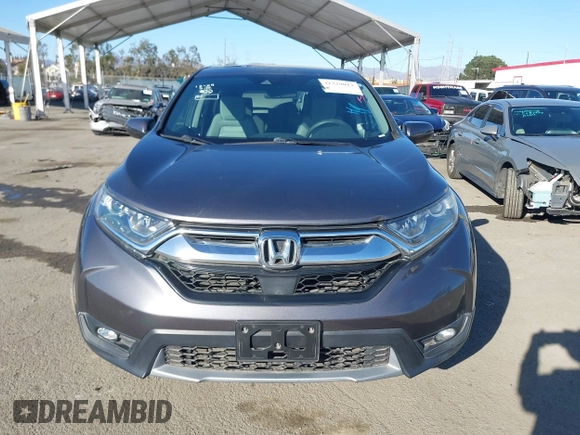 2019 Honda CR-V EX with VIN 5J6RW1H57KA044404, listed as a IAAI auction lot 41329013 with 45,923 mi miles. Bid and sale history available at carsss.com. Image 12.