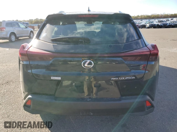 2023 Lexus UX 250h Premium с VIN JTHP9JBH8P2069805, выставлен на аукционе Copart как лот 87671095 с пробегом 12 599 миль миль и Списание • Salvage title. История ставок и продаж доступна на DreamBid. Изображение 6.