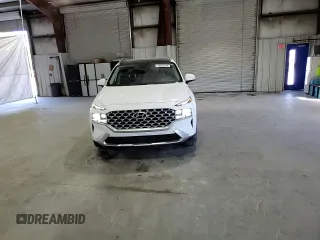 2021 Hyundai Santa Fe Hybrid Limited with VIN KM8S5DA15MU012485, listed as a Copart auction lot 59092344 with 30,948 mi miles and Salvage Title. Bid and sale history available at carsss.com. Image 12.