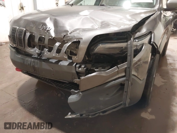 2019 Jeep Cherokee Trailhawk Elite with VIN 1C4PJMBX8KD298807, listed as a IAAI auction lot 41107062 with 79,685 mi miles. Bid and sale history available at carsss.com. Image 6.