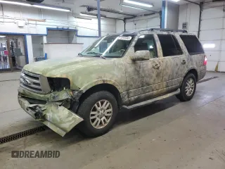 2010 Ford Expedition Eddie Bauer with VIN 1FMJU1J52AEA93810, listed as a Copart auction lot 48995665 with 181,154 mi miles and Salvage title. Bid and sale history available at DreamBid. Image 1.