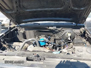 1994 Ford F-150 with VIN 1FTDF15Y6RNA30205, listed as a IAAI auction lot 41995595 with Not provided miles and . Bid and sale history available at DreamBid. Image 10.