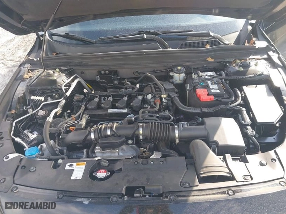 2019 Honda Accord Sedan LX 1.5T with VIN 1HGCV1F19KA151146, listed as a IAAI auction lot 41510518 with 62,050 mi miles. Bid and sale history available at carsss.com. Image 10.