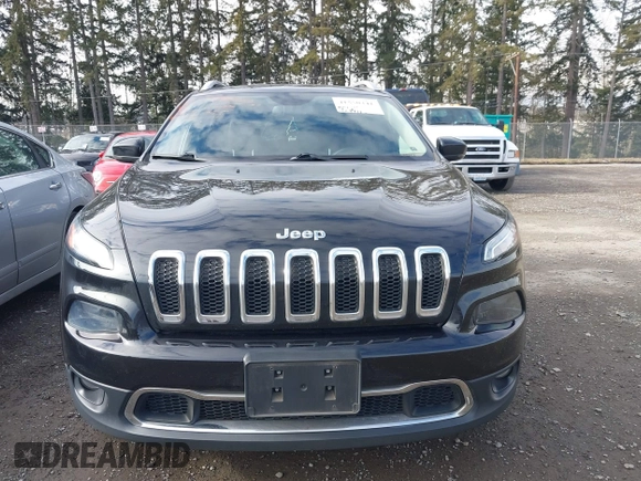 2016 Jeep Cherokee Limited with VIN 1C4PJMDSXGW268768, listed as a IAAI auction lot 41550341 with 109,947 mi miles and . Bid and sale history available at DreamBid. Image 13.