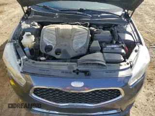 2014 Kia Cadenza Premium with VIN KNALN4D7XE5145311, listed as a Copart auction lot 48396535 with 193,301 mi miles and Salvage Title. Bid and sale history available at carsss.com. Image 11.