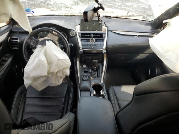 2017 Lexus NX with VIN JTJYARBZ6H2066520, listed as a Copart auction lot 49234295 with 0 mi miles and Salvage Title. Bid and sale history available at carsss.com. Image 8.