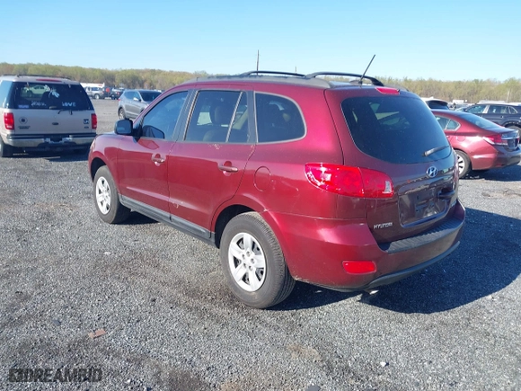 2009 Hyundai Santa Fe GLS with VIN 5NMSG13D89H239141, listed as a IAAI auction lot 42047435 with 171,581 mi miles. Bid and sale history available at carsss.com. Image 3.
