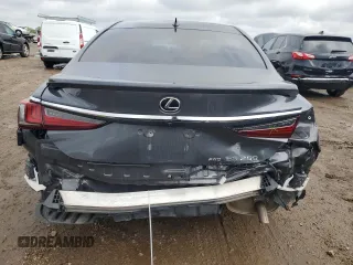2022 Lexus ES 250 with VIN 58AD11D13NU009089, listed as a Copart auction lot 59532615 with 43,248 mi miles and Salvage title. Bid and sale history available at DreamBid. Image 6.