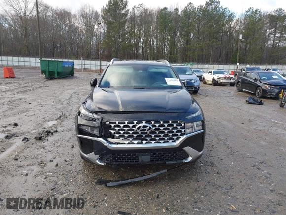 2021 Hyundai Santa Fe SEL with VIN 5NMS24AJ0MH357850, listed as a IAAI auction lot 41207381 with 123,584 mi miles. Bid and sale history available at carsss.com. Image 12.