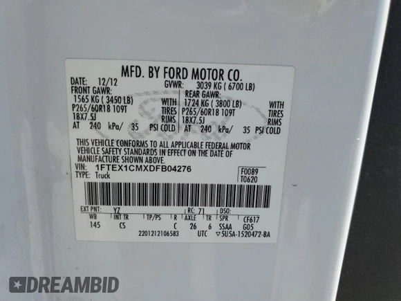 2013 Ford F-150 XL with VIN 1FTEX1CMXDFB04276, listed as a Copart auction lot 62396815 with 225,913 mi miles and Salvage title. Bid and sale history available at DreamBid. Image 13.