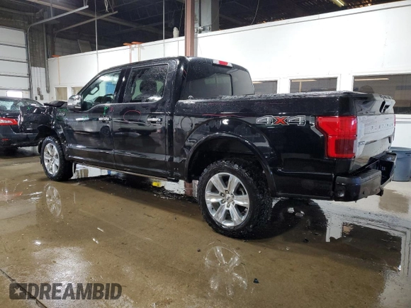 2019 Ford F-150 XL with VIN 1FTEW1E49KFA35982, listed as a Copart auction lot 42703425 with 49,189 mi miles and Salvage Title. Bid and sale history available at carsss.com. Image 2.