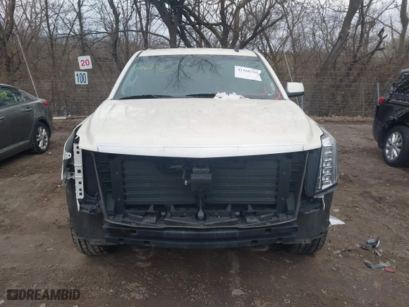 2015 Cadillac Escalade Premium with VIN 1GYS4CKJ0FR296009, listed as a IAAI auction lot 41168793 with 176,073 mi miles. Bid and sale history available at carsss.com. Image 13.