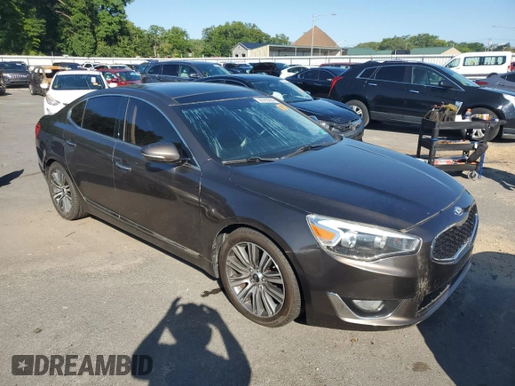 2014 Kia Cadenza Premium with VIN KNALN4D71E5133791, listed as a Copart auction lot 66783294 with 0 mi miles and Salvage Title. Bid and sale history available at carsss.com. Image 4.