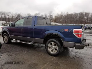 2009 Ford F-150 XL with VIN 1FTPX14V29KB98328, listed as a Copart auction lot 49290255 with 167,707 mi miles and Clean Title. Bid and sale history available at carsss.com. Image 2.