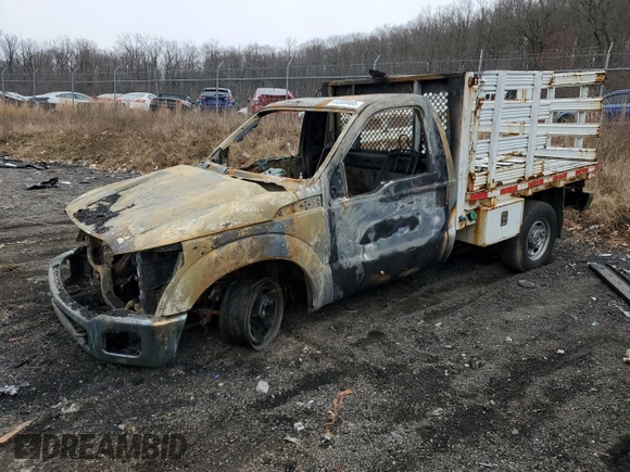 2011 Ford Super Duty F-250 SRW XL with VIN 1FTBF2AT9BEC41900, listed as a Copart auction lot 44588465 with 0 mi miles and Salvage Title. Bid and sale history available at carsss.com. Image 1.