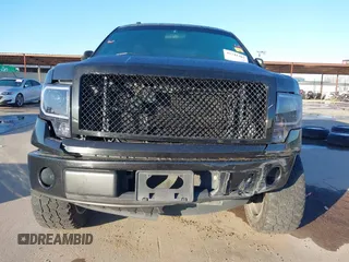 2013 Ford F-150 XL with VIN 1FTFX1CF6DFB82088, listed as a IAAI auction lot 41741307 with 194,704 mi miles and . Bid and sale history available at DreamBid. Image 13.