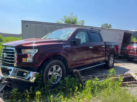 2016 Ford F-150 XLT with VIN 1FTEW1EP3GKF92024, listed as a Copart auction lot 62854695 with 1,007 mi miles and Clean title. Bid and sale history available at DreamBid. Image 2.