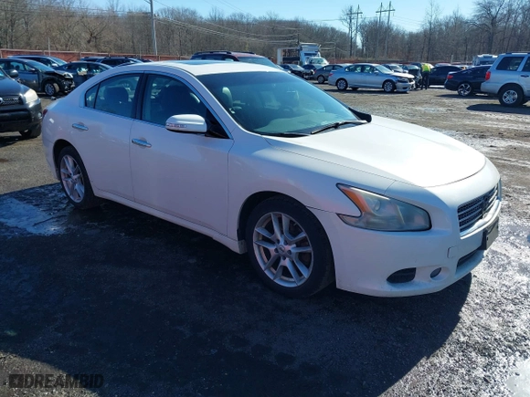2010 Nissan Maxima 3.5 SV w/Premium Pkg with VIN 1N4AA5AP3AC806950, listed as a IAAI auction lot 41587758 with 123,470 mi miles. Bid and sale history available at carsss.com. Image 1.