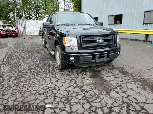 2013 Ford F-150 XL with VIN 1FTEX1CM0DKD75533, listed as a Copart auction lot 76499874 with 183,443 mi miles and Salvage Title. Bid and sale history available at carsss.com. Image 11.