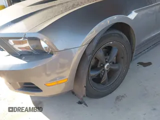2010 Ford Mustang V6 with VIN 1ZVBP8ENXA5171928, listed as a IAAI auction lot 42556844 with 168,509 mi miles and . Bid and sale history available at DreamBid. Image 12.