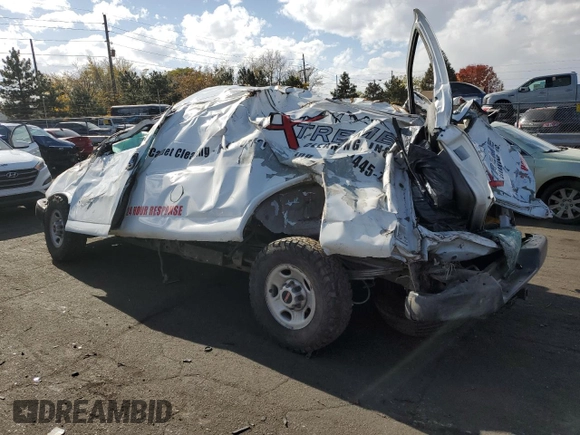 2017 GMC Savana Cargo Van with VIN 1GTW7AFF1H1110665, listed as a Copart auction lot 77455194 with 0 mi miles and Non Repairable. Bid and sale history available at carsss.com. Image 2.