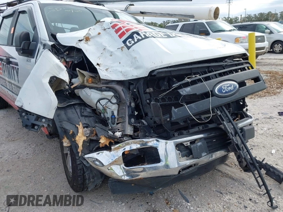 2019 Ford F-150 XL with VIN 1FTEW1CB9KFD18349, listed as a IAAI auction lot 41261246 with Not Provided miles and . Bid and sale history available at DreamBid. Image 6.