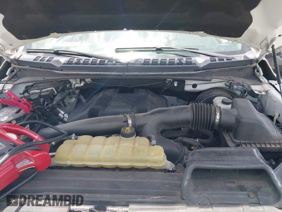 2019 Ford F-150 XL with VIN 1FTEW1C47KKE32195, listed as a IAAI auction lot 42637913 with Not provided miles and . Bid and sale history available at DreamBid. Image 10.