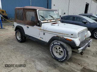 1993 Jeep Wrangler z VIN 1J4FY29S6PP245917, wystawiony jako Copart lot #58805235 z przebiegiem 162 170 mil mil oraz Czysty tytuł • Clean title. Historia ofert i sprzedaży dostępna na DreamBid. Obrazek 4.