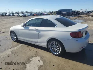 2016 BMW 2 Series 228i xDrive with VIN WBA1G9C55GV599175, listed as a Copart auction lot 44058195 with 106,544 mi miles and Salvage title. Bid and sale history available at DreamBid. Image 2.