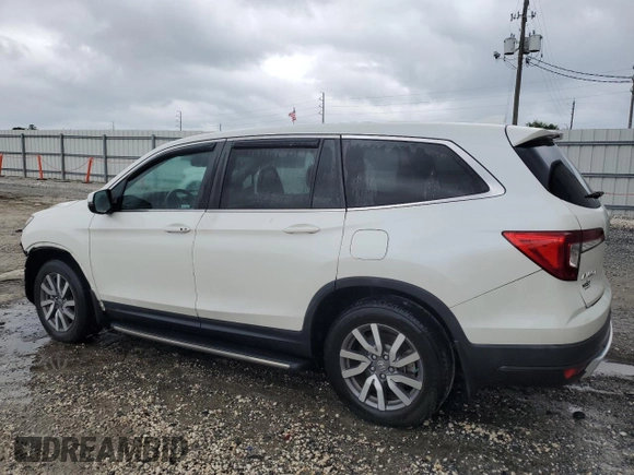 2019 Honda Pilot EX-L with VIN 5FNYF5H46KB039119, listed as a Copart auction lot 69801854 with 48,470 mi miles and Salvage title. Bid and sale history available at DreamBid. Image 2.