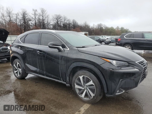 2019 Lexus NX with VIN JTJBARBZ9K2189502, listed as a Copart auction lot 50029065 with 135,449 mi miles and Salvage Title. Bid and sale history available at carsss.com. Image 4.