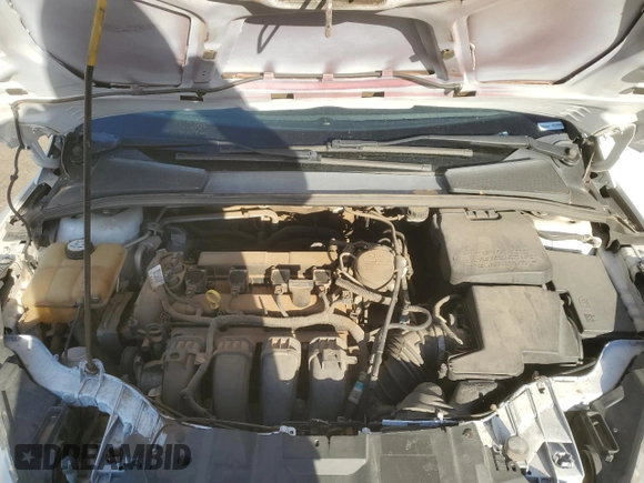2013 Ford Focus SE with VIN 1FADP3F24DL234319, listed as a Copart auction lot 49627975 with Not Provided miles and Salvage Title. Bid and sale history available at DreamBid. Image 11.