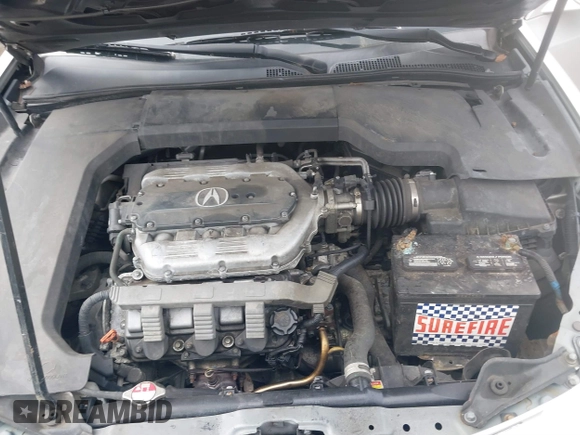 2009 Acura TL Tech with VIN 19UUA86539A010143, listed as a IAAI auction lot 41775065 with 164,225 mi miles. Bid and sale history available at carsss.com. Image 10.