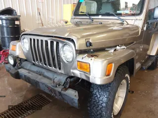 2003 Jeep Wrangler Sahara z VIN 1J4FA59S83P343234, wystawiony jako IAAI lot #41644074 z przebiegiem 197 461 mil mil oraz . Historia ofert i sprzedaży dostępna na DreamBid. Obrazek 6.